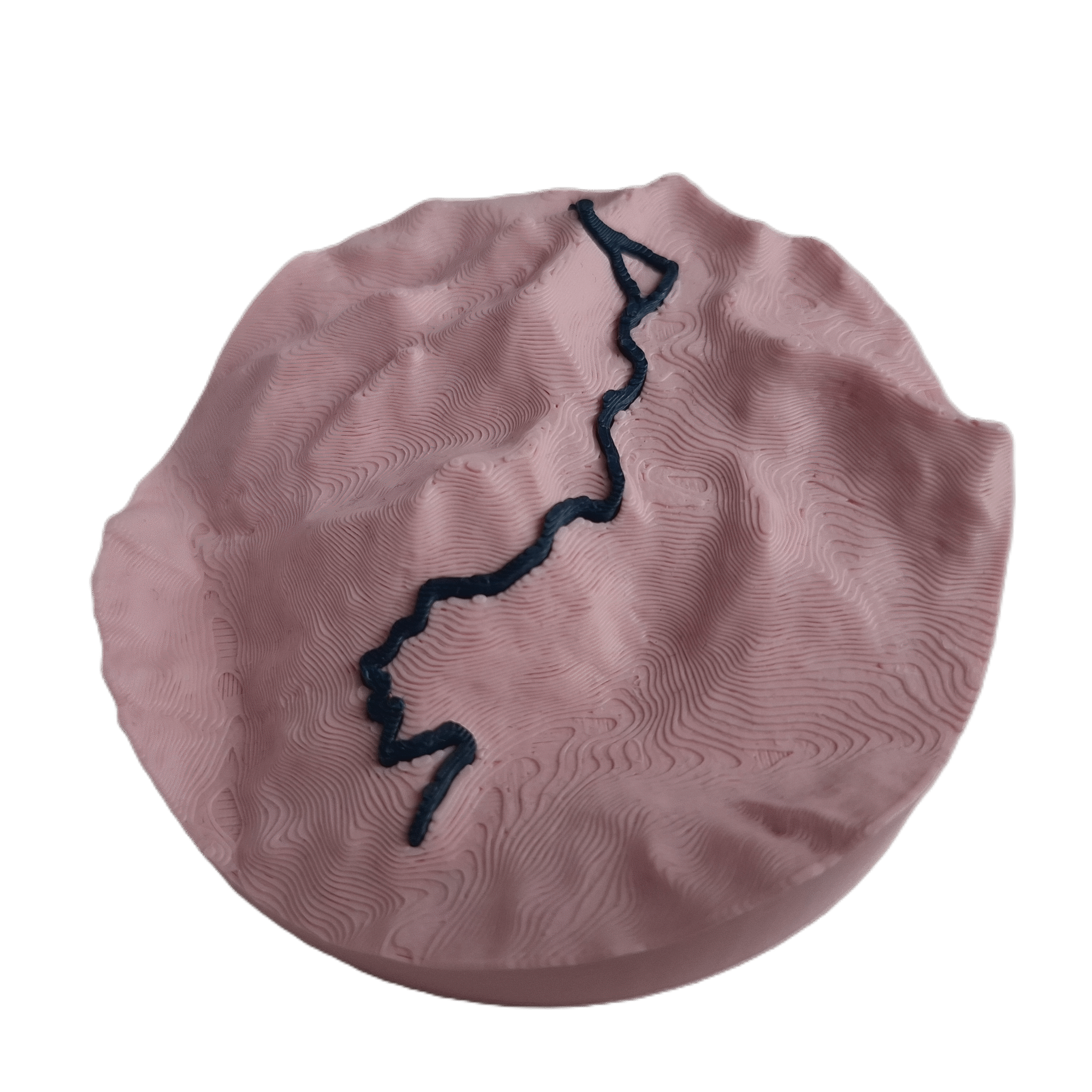 visualisation 3D d'une trace GPX de balade avec relief topographique couleur rose et bleu profond
