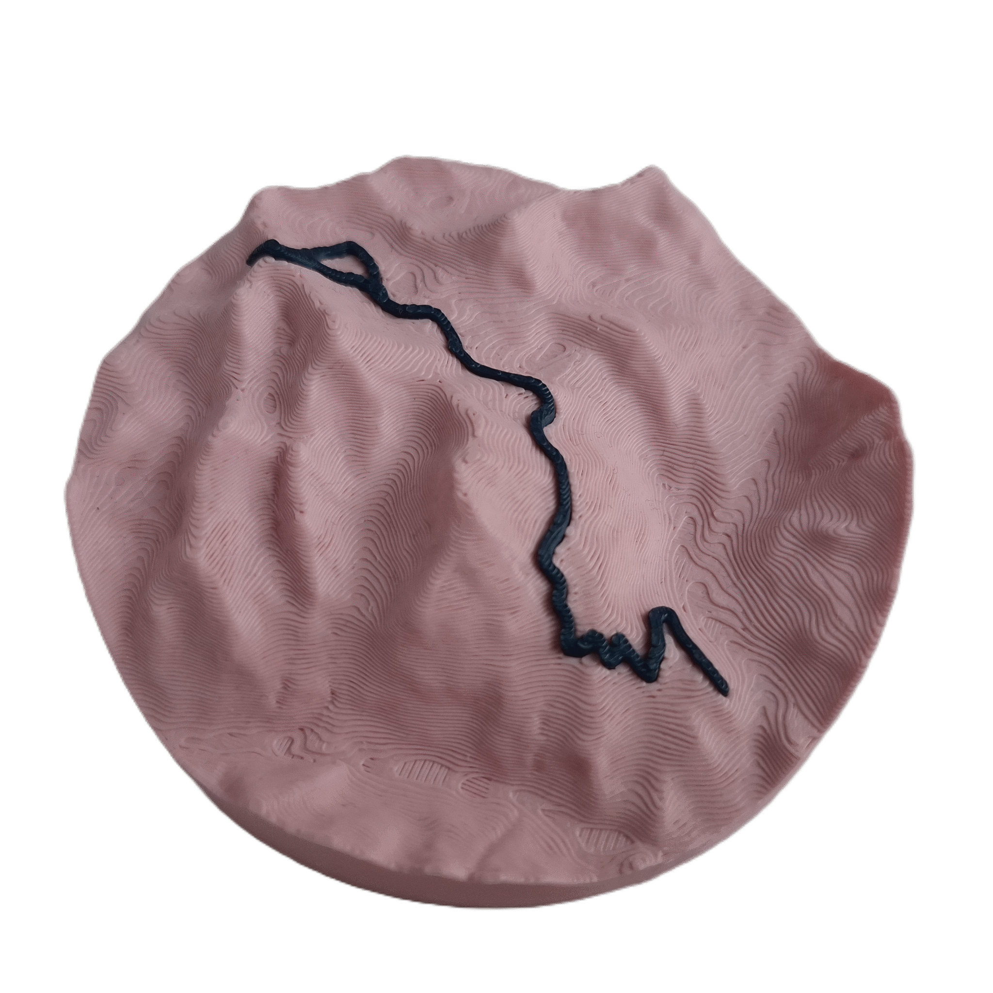 visualisation 3D d'une trace GPX de marche avec relief topographique couleur rose et bleu profond