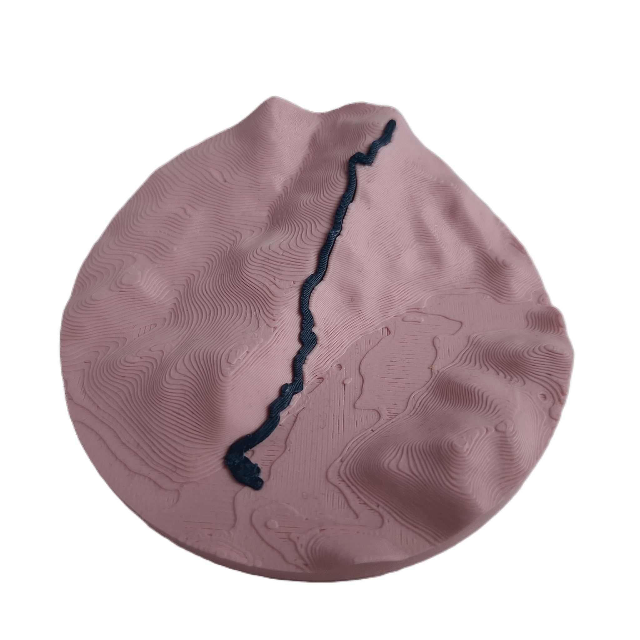 visualisation 3D d'une trace GPX de marche avec relief topographique couleur rose et bleu profond