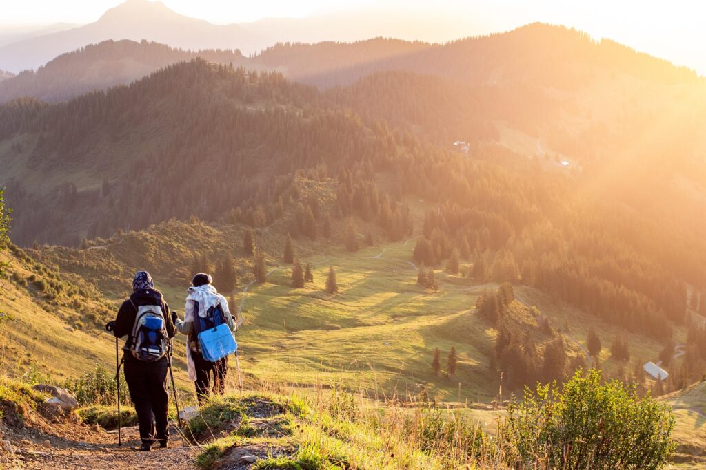 chemin de marche en montagne le long d'une forêt